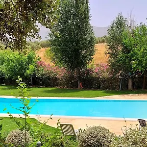 Bodega El Juncal Espanha